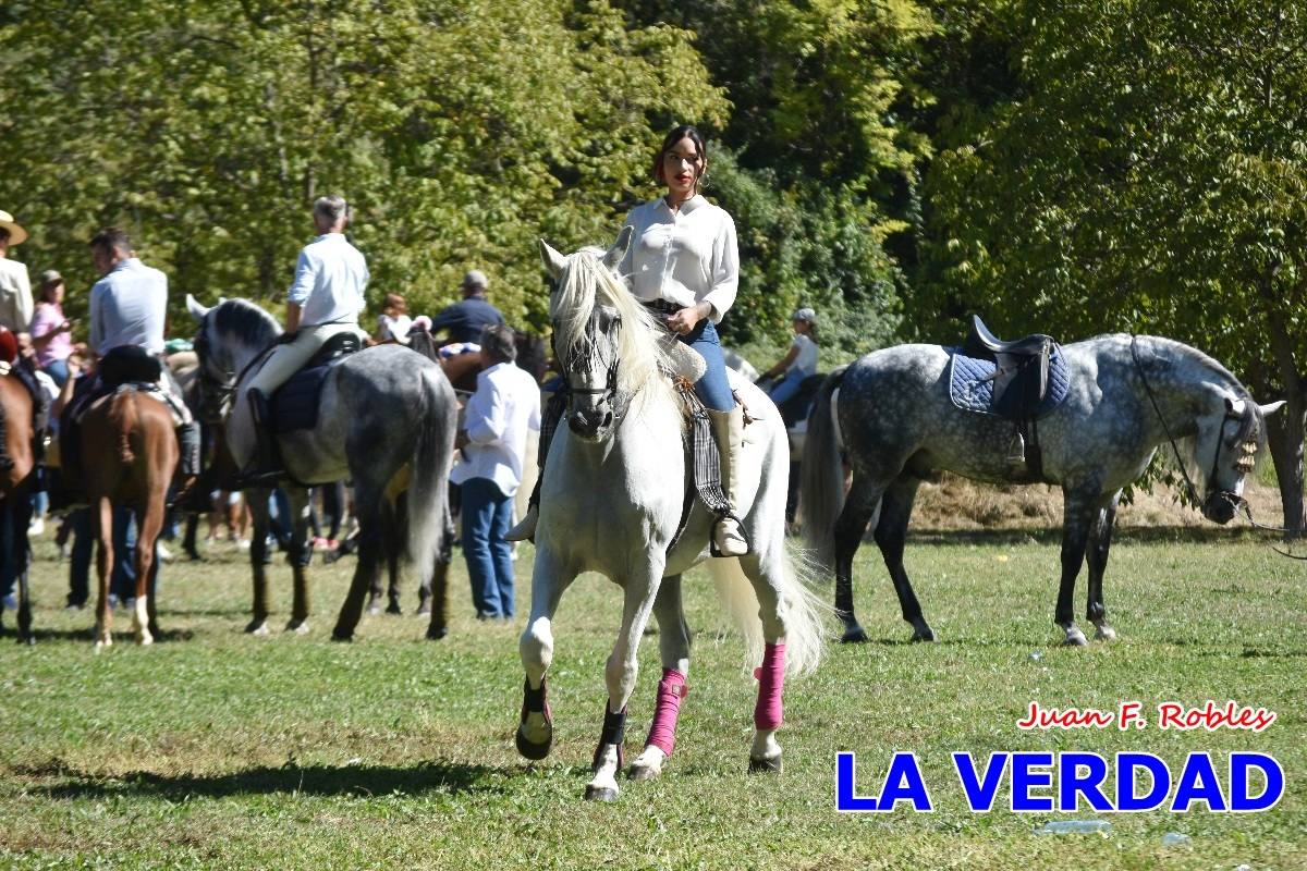 Romería caballista a las Fuentes del Marqués en Caravaca - 05