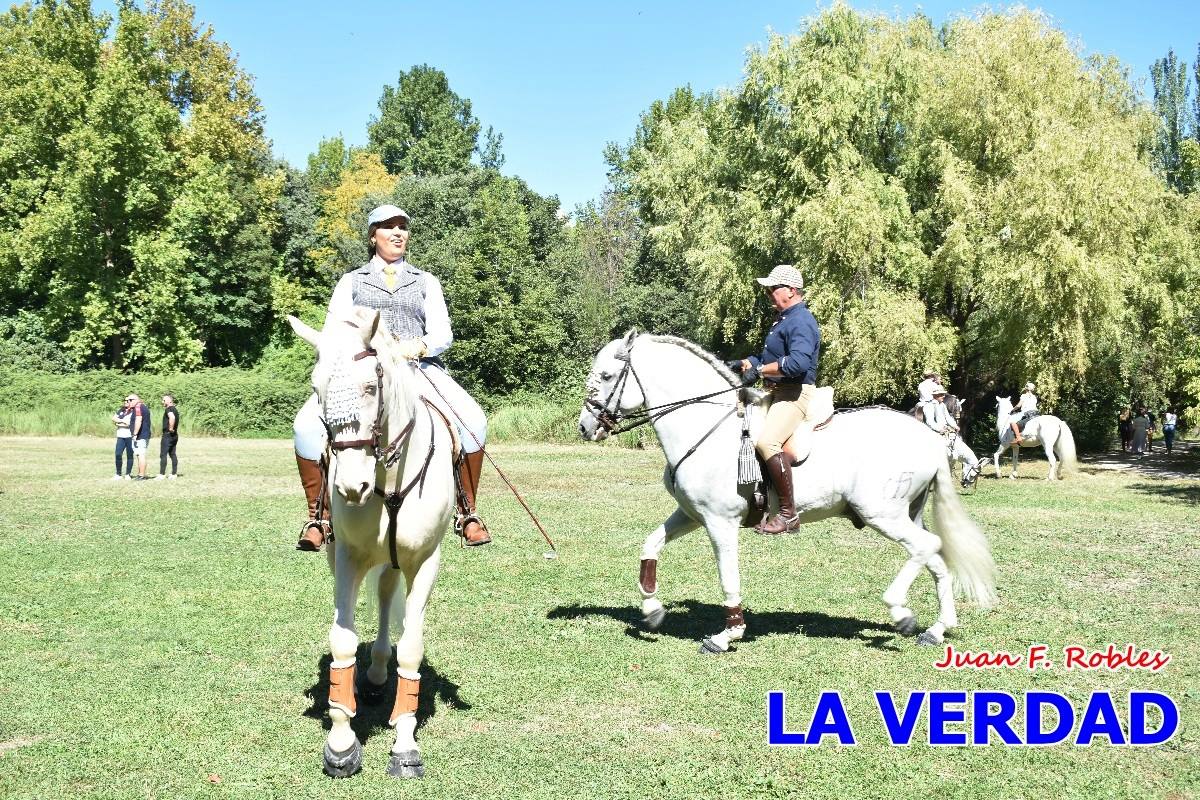Romería caballista a las Fuentes del Marqués en Caravaca - 05