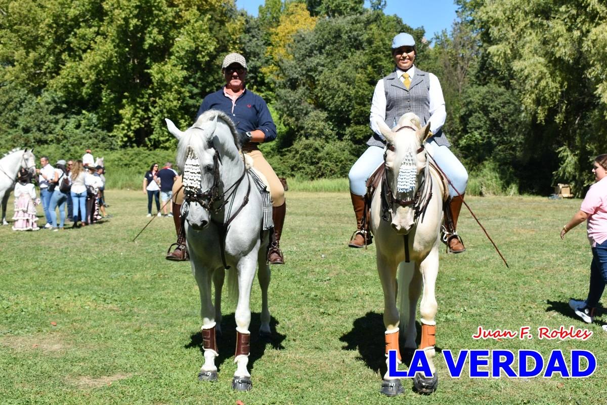 Romería caballista a las Fuentes del Marqués en Caravaca - 05