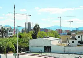 Paisaje de grúas en la zona ubicada junto a la avenida Juan de Borbón, entre Príncipe de Asturias y Reino de Murcia.