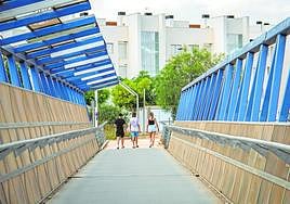 Pasarela entre el colegio Los Dolses y el IES Playa Flamenca.
