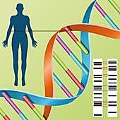 Ahora es el turno del ADN para identificar a las víctimas