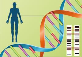 Ahora es el turno del ADN para identificar a las víctimas