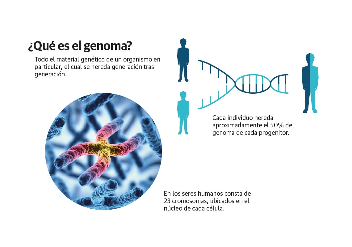 Scroll Story imagen 0