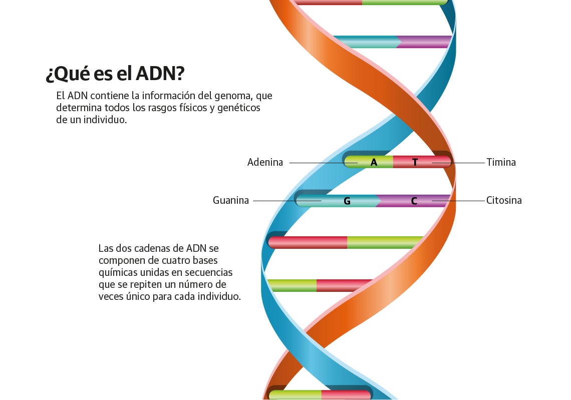 Scroll Story imagen 1