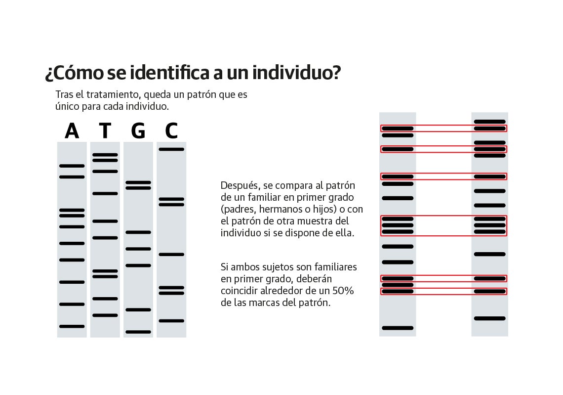 Scroll Story imagen 3