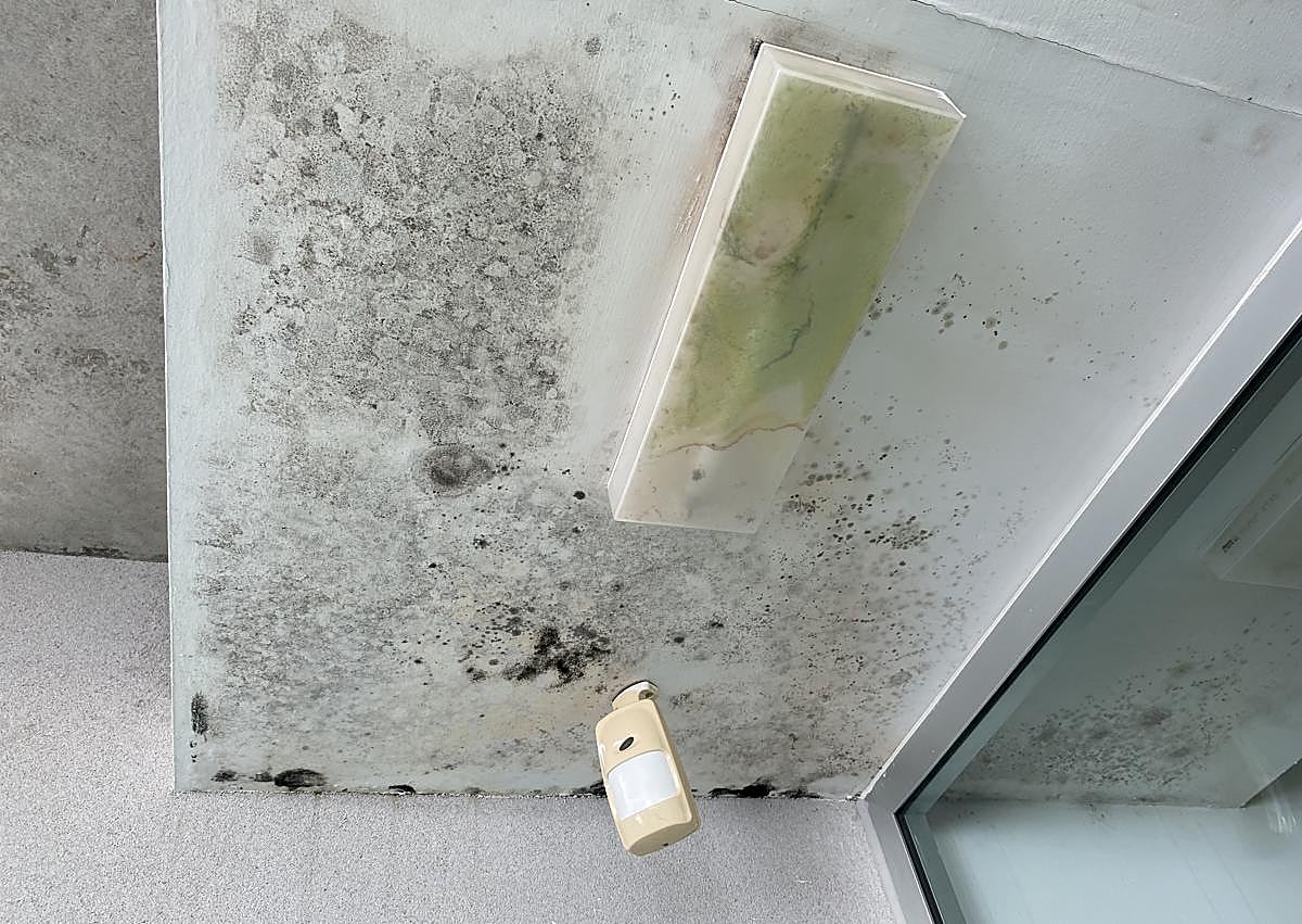 Imagen secundaria 1 - Los padres del colegio Miguel Hernández de Orihuela denuncian falta de mantenimiento en el centro