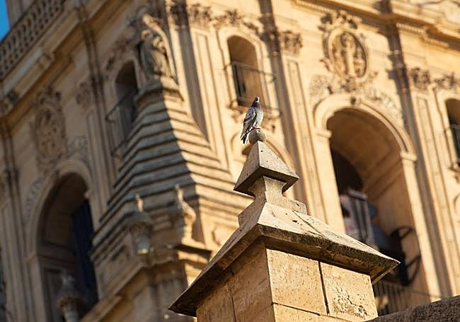 Los trabajos previstos incluyen la restauración y consolidación de las figuras y ornamentos que estén deteriorados.