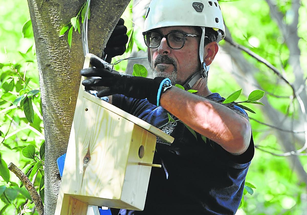 Instalación de una de las cajas nido en el jardín de la Seda.
