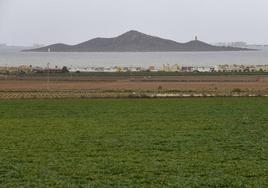 Cultivos en las proximidades del Mar Menor, con la Isla del Barón al fondo.