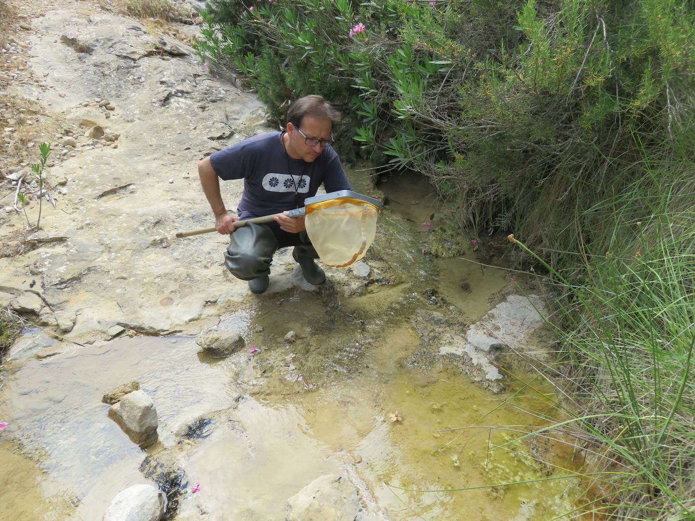 David Sánchez muestreando la rambla de Malvariche, en Sierra Espuña.