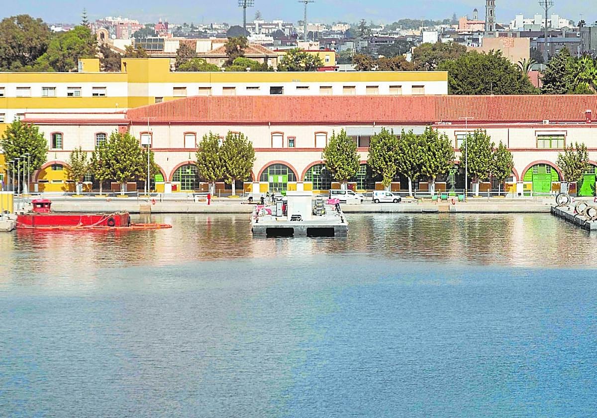 Fosas para el atraque de submarinos, divididas por el muelle ampliado, en el Arsenal.