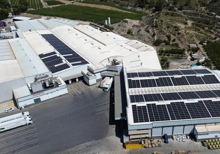 Vista aérea de los paneles instalados en la cubierta de las naves de Frutas Esther en Abarán.