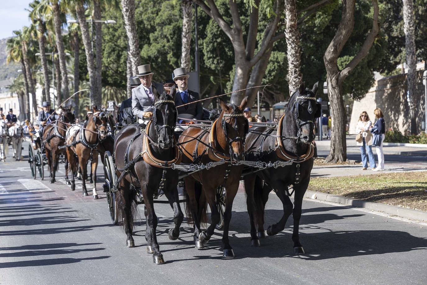 Enganches y carros de época cautivan en el Muelle de Cartagena