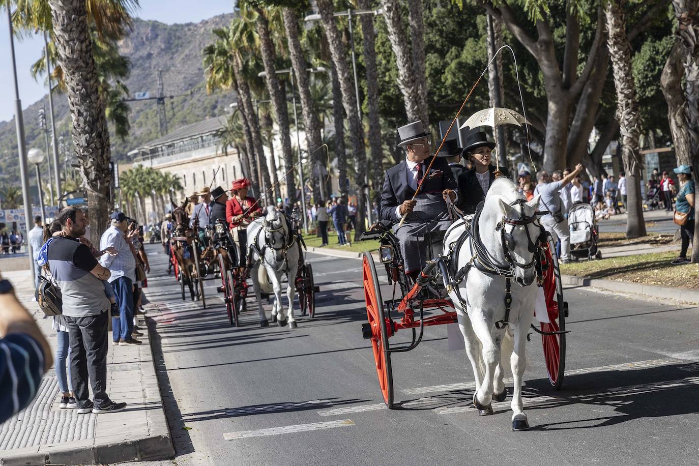 Enganches y carros de época cautivan en el Muelle de Cartagena