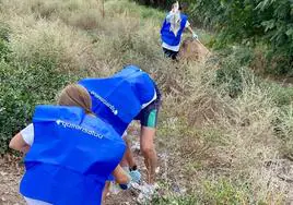 Voluntarios de Ecomar en la recogida de residuos