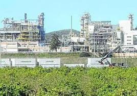 Bancal de limoneros junto a la factoría de Sabic en La Aljorra, en una imagen de archivo.