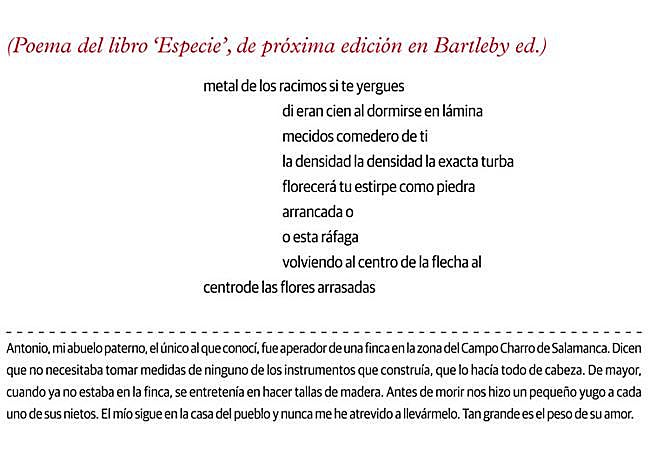 Pilar Fraile Amador.