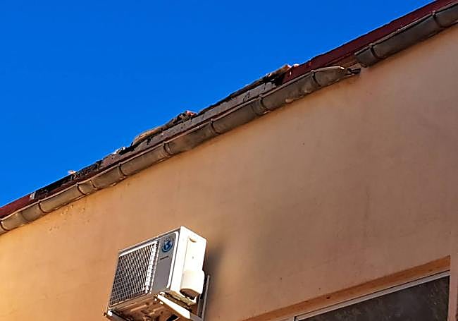 Desperfectos en el CEIP Sagrado Corazón de Librilla.