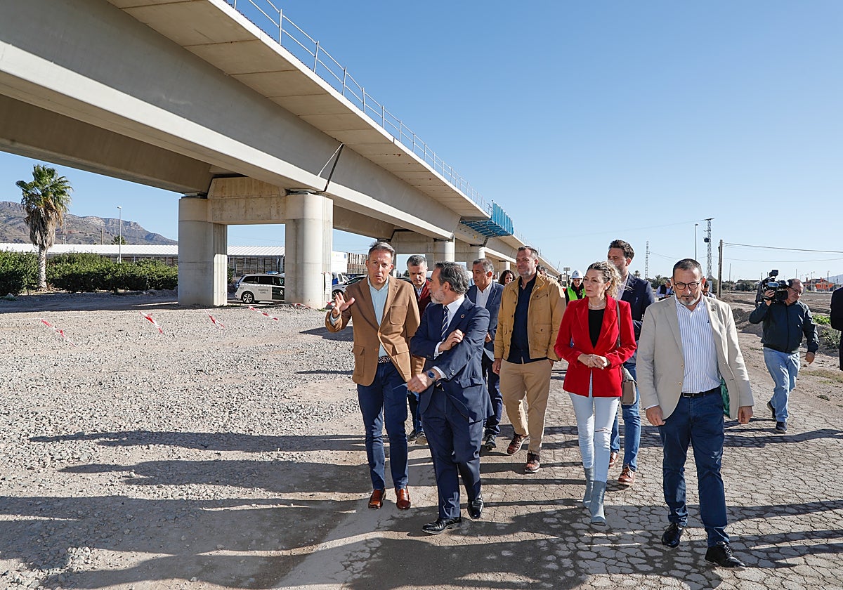 El alcalde, el delegado del Gobierno y otras autoridades recorren las obras del viaducto en Tercia.