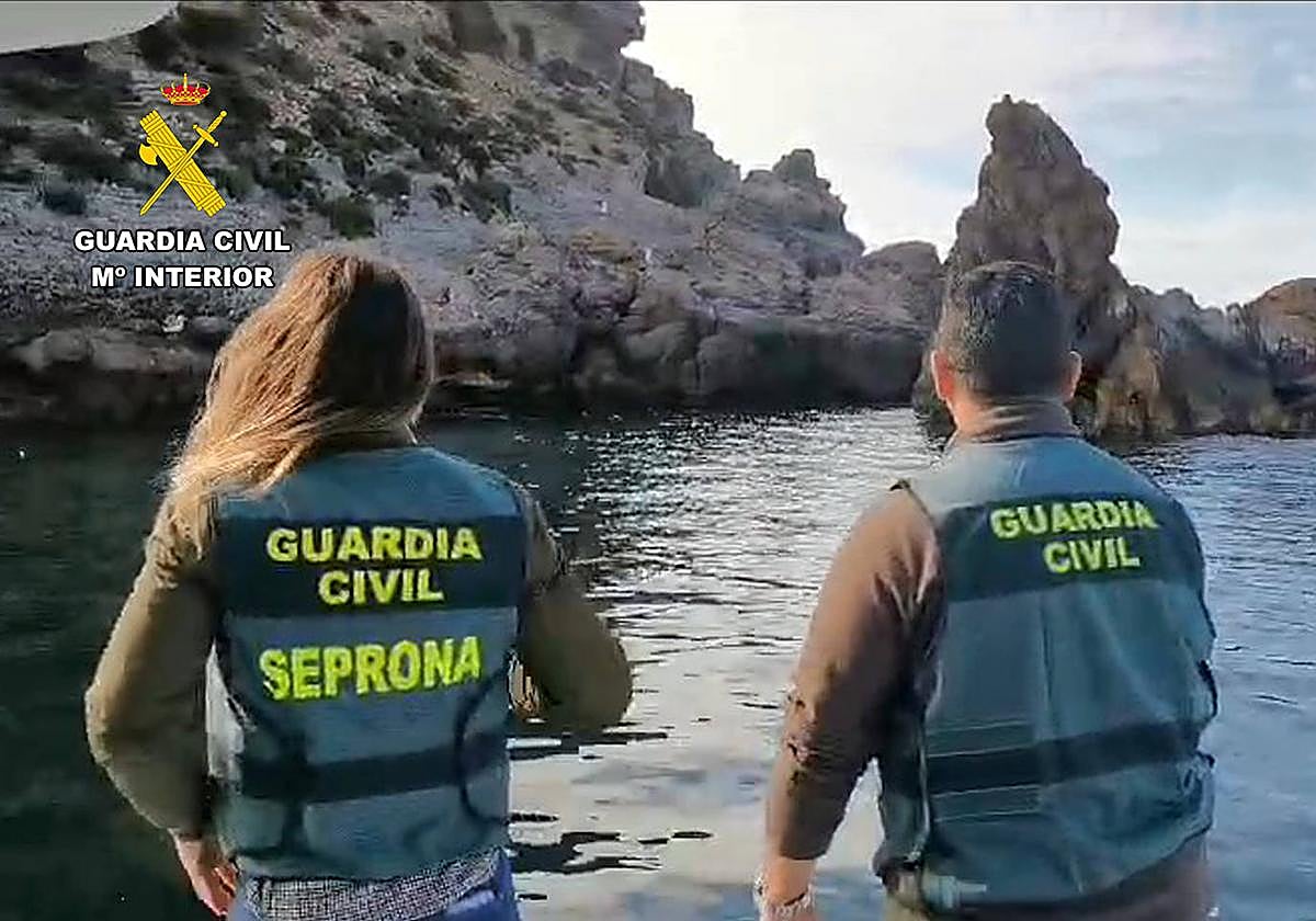 Agentes del Seprona en aguas de Cabo Tiñoso.