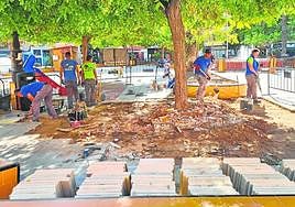 Operarios arreglan el pavimento levantado junto a los árboles.