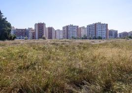 Imagen de la urbanización Joven Futura, cuyo nuevo planeamiento ha recibido una primera luz verde.