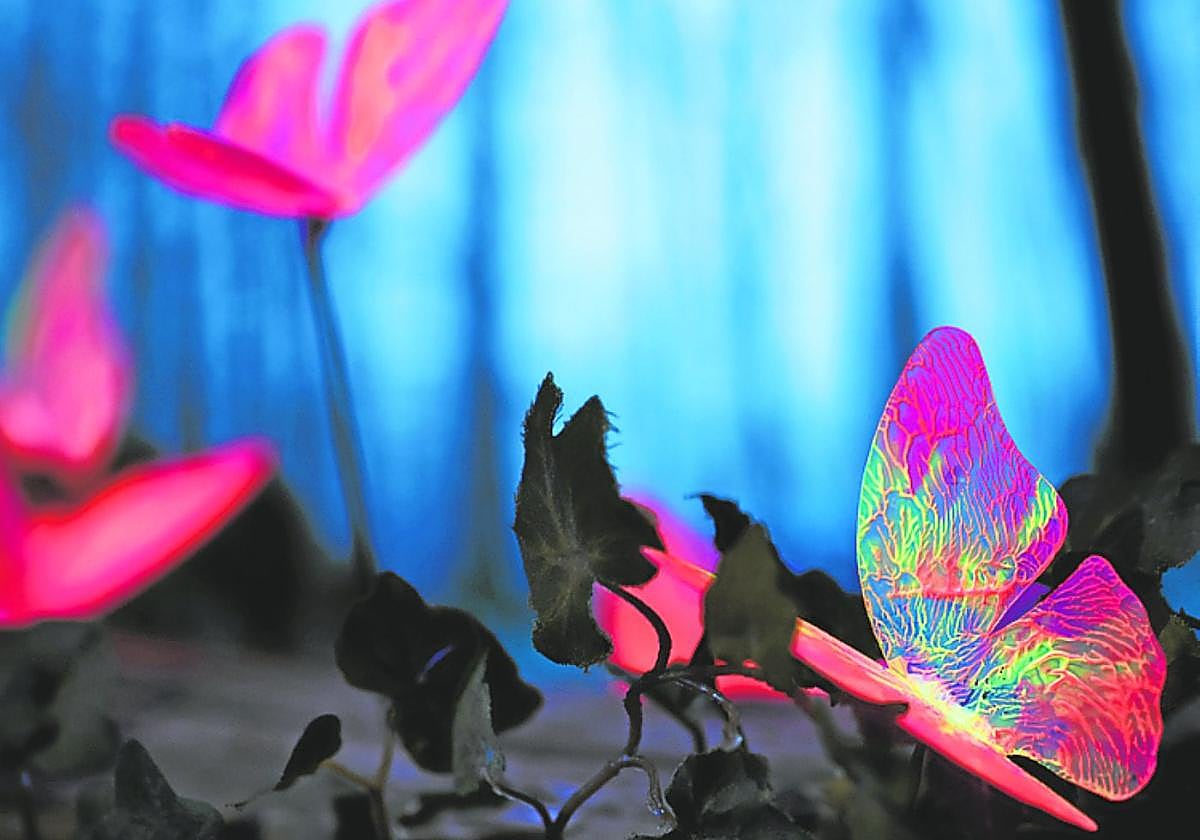 Bioluminiscencia en Águilas, ¿qué, quién, cómo, por qué y para qué?