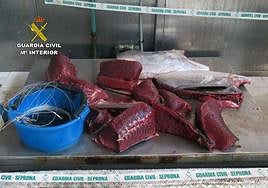 Cantidad de atún requisada por la Guardia Civil en Águilas.