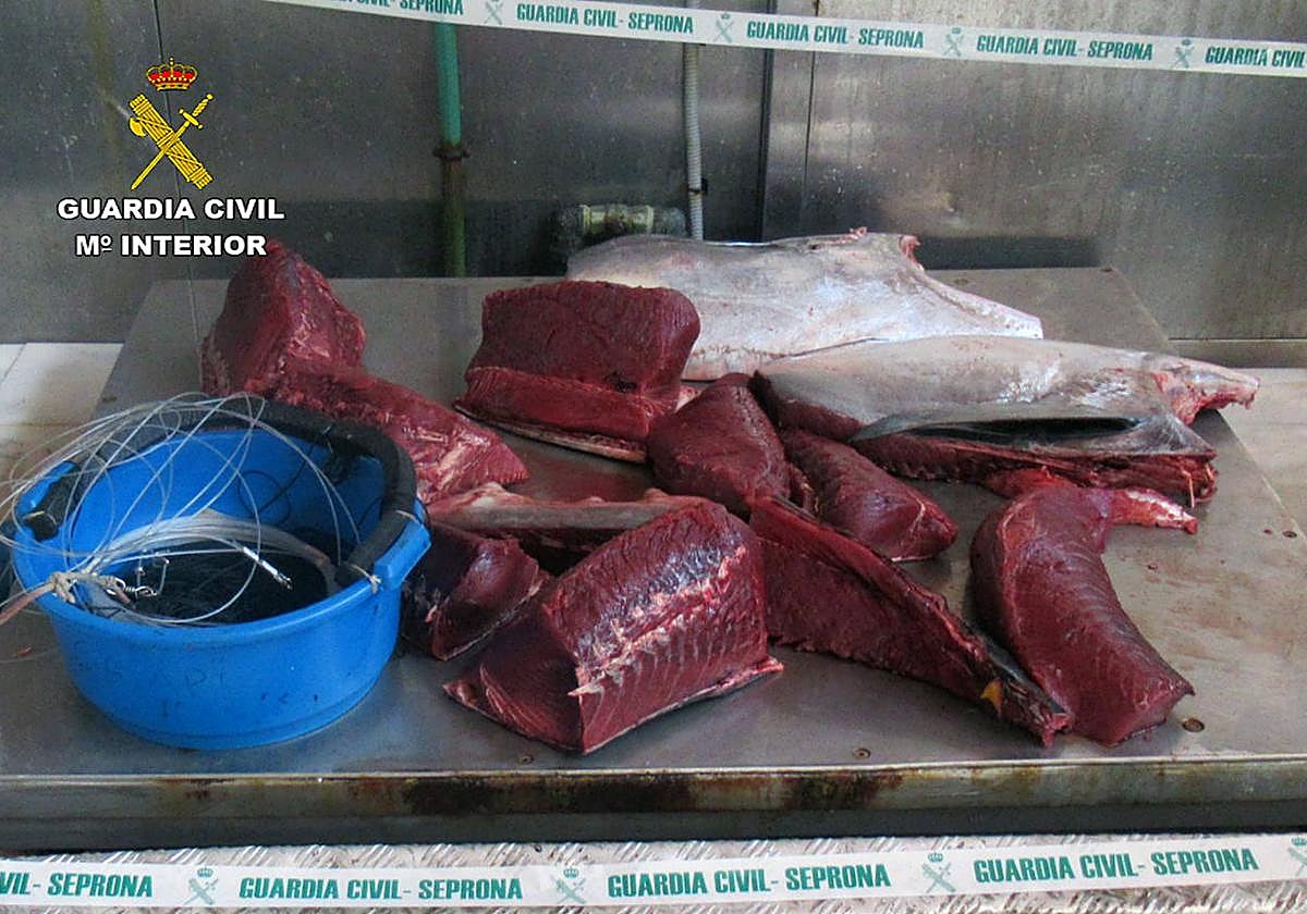 Cantidad de atún requisada por la Guardia Civil en Águilas.