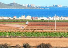 Terrenos agrícolas junto al Mar Menor, donde se implantarán las medidas del Ministerio.