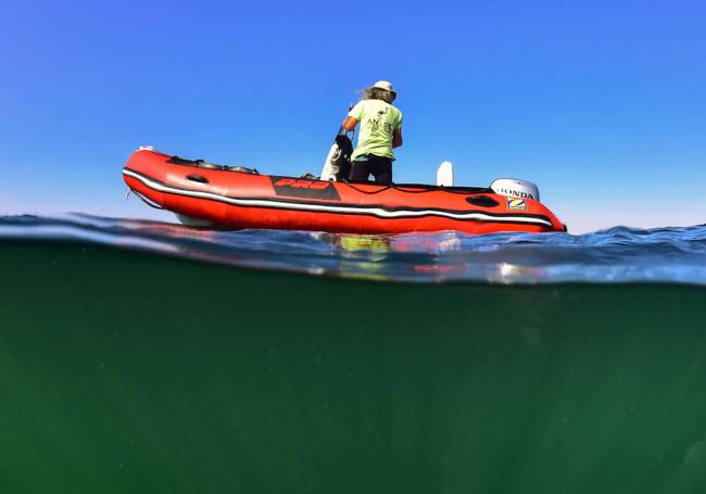 Una actuación de ANSE en el Mar Menor (en junio de 2020).