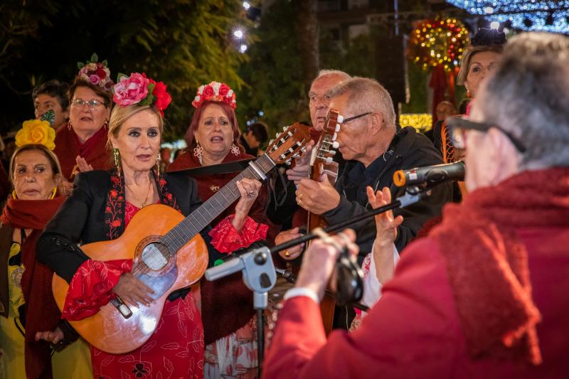 La ofrenda de flores a La Purísima de Torrevieja, en imágenes