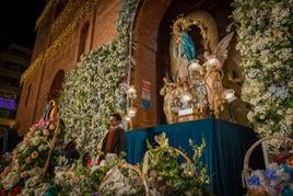 La ofrenda de flores a La Purísima de Torrevieja, en imágenes