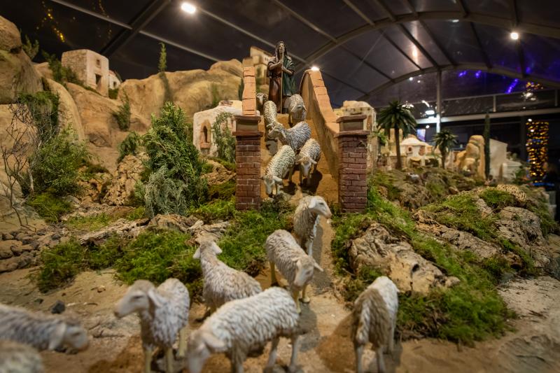 El nuevo belén municipal de Torrevieja, en imágenes