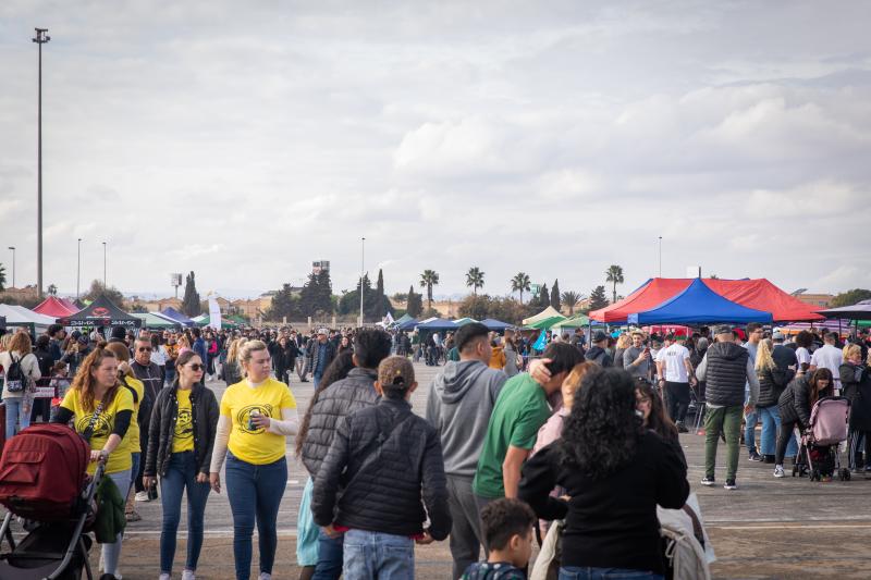 Las imágenes del concurso de paellas de Torrevieja