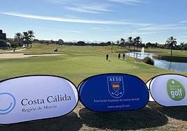 Jugadores disputando en puntuable.