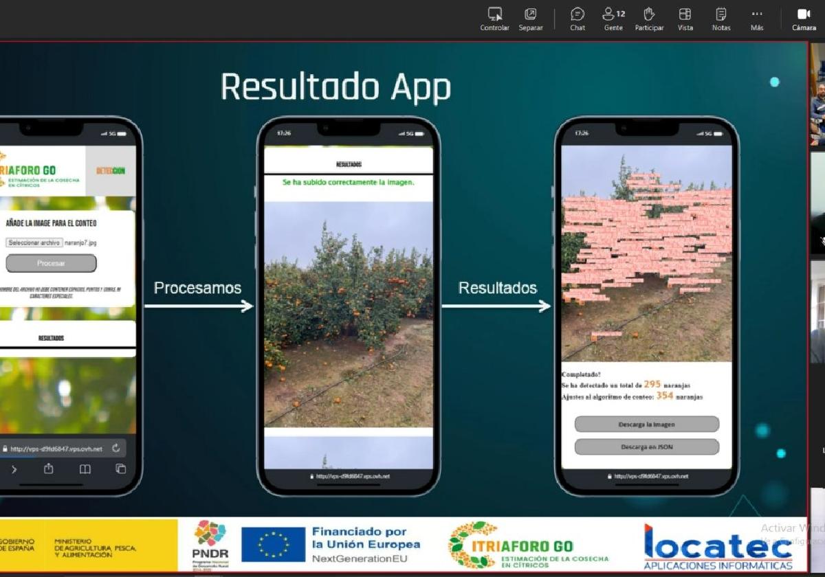 La innovación tecnológica llega a la estimación de aforos en cítricos