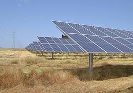 Una de los espacios en los que Soltec cuenta con plantas solares.