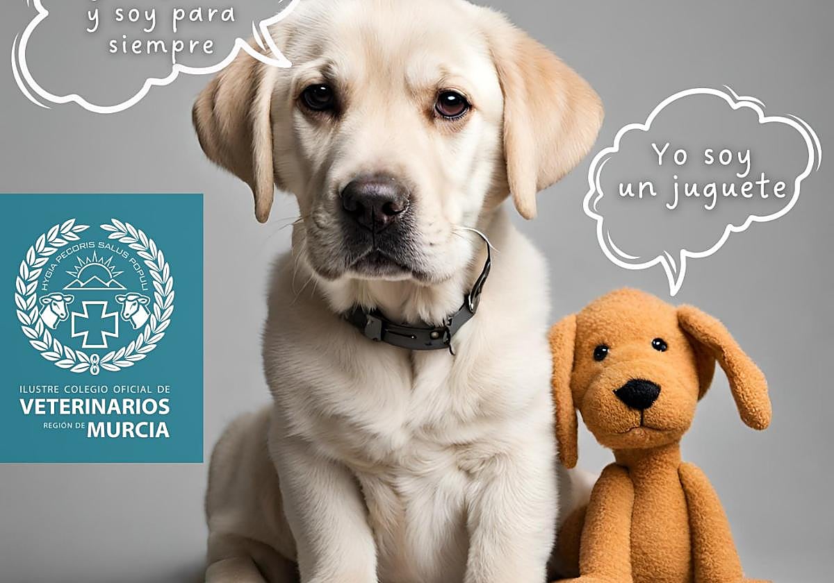 Campaña del Colegio de Veterinarios de la Región de Murcia sobre la adopción responsable de mascotas en Navidad.