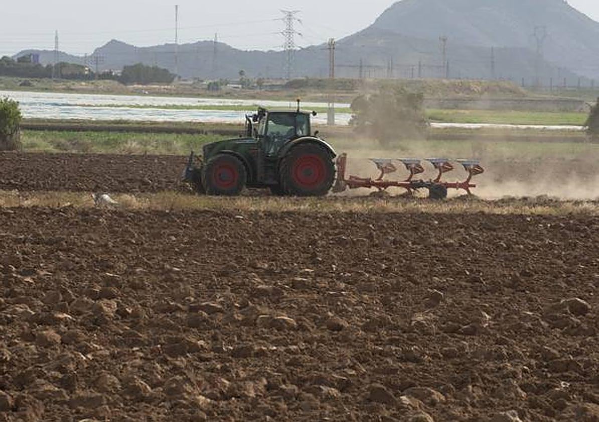 Un tractor rotura la tierra en una finca del Campo de Cartagena.
