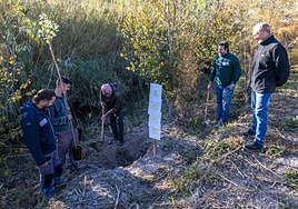 Plantación del árbol número 4.000 del bosque de ribera del río Segura, este martes.