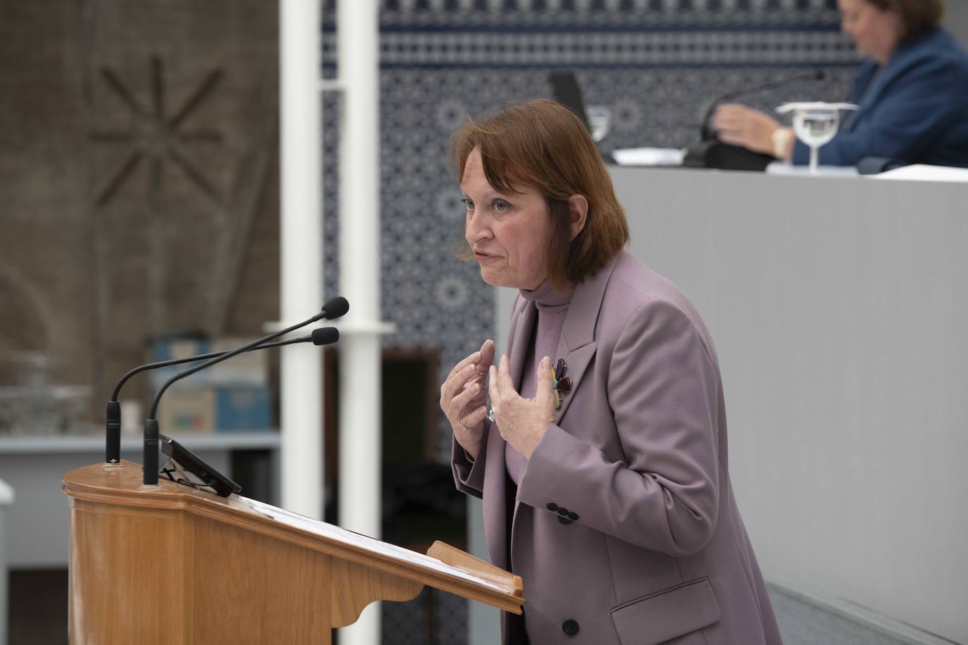 Pleno de la Asamblea Regional del 28 de diciembre de 2023, en imágenes