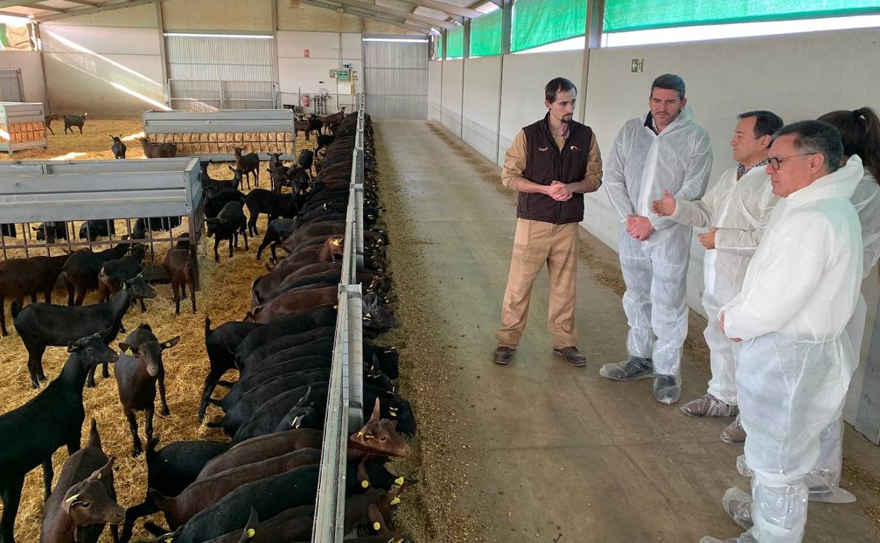 Visita de Antonio Luengo a la empresa KPRA.