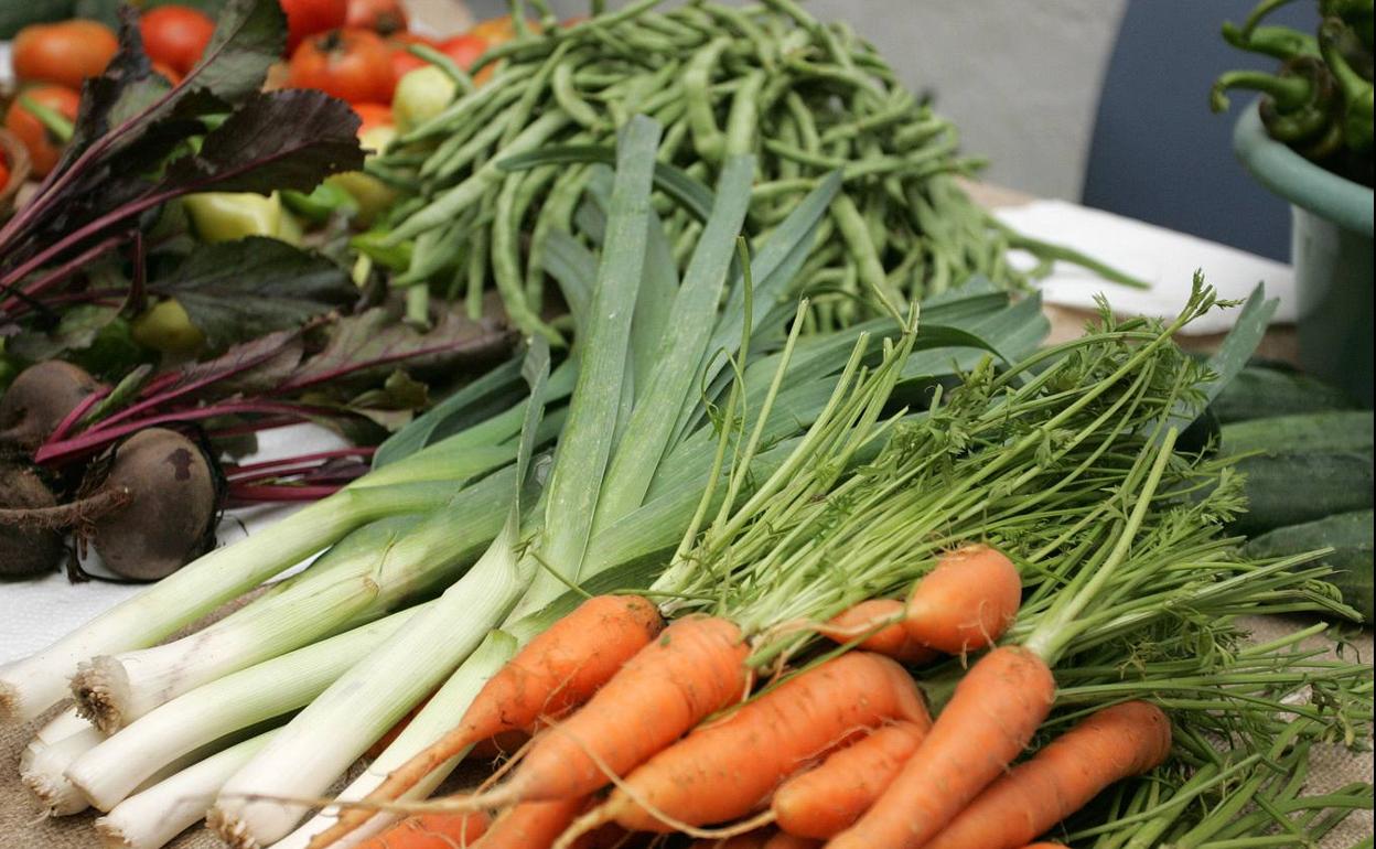 Verduras ecológicas en una imagen de archivo. 