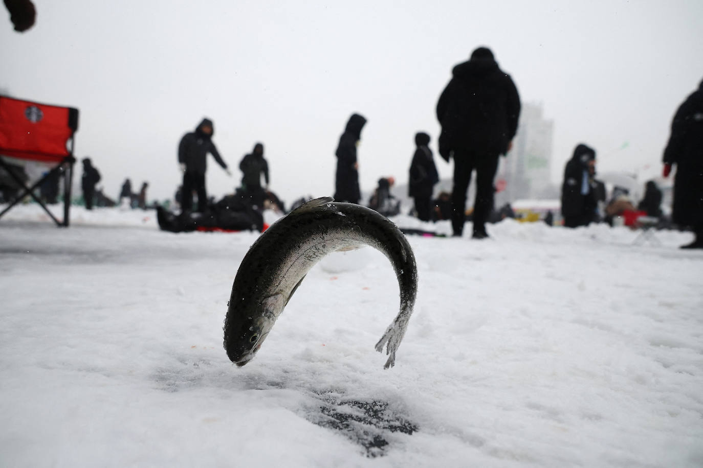 Fotos: Festival de Pesca de Hwacheon