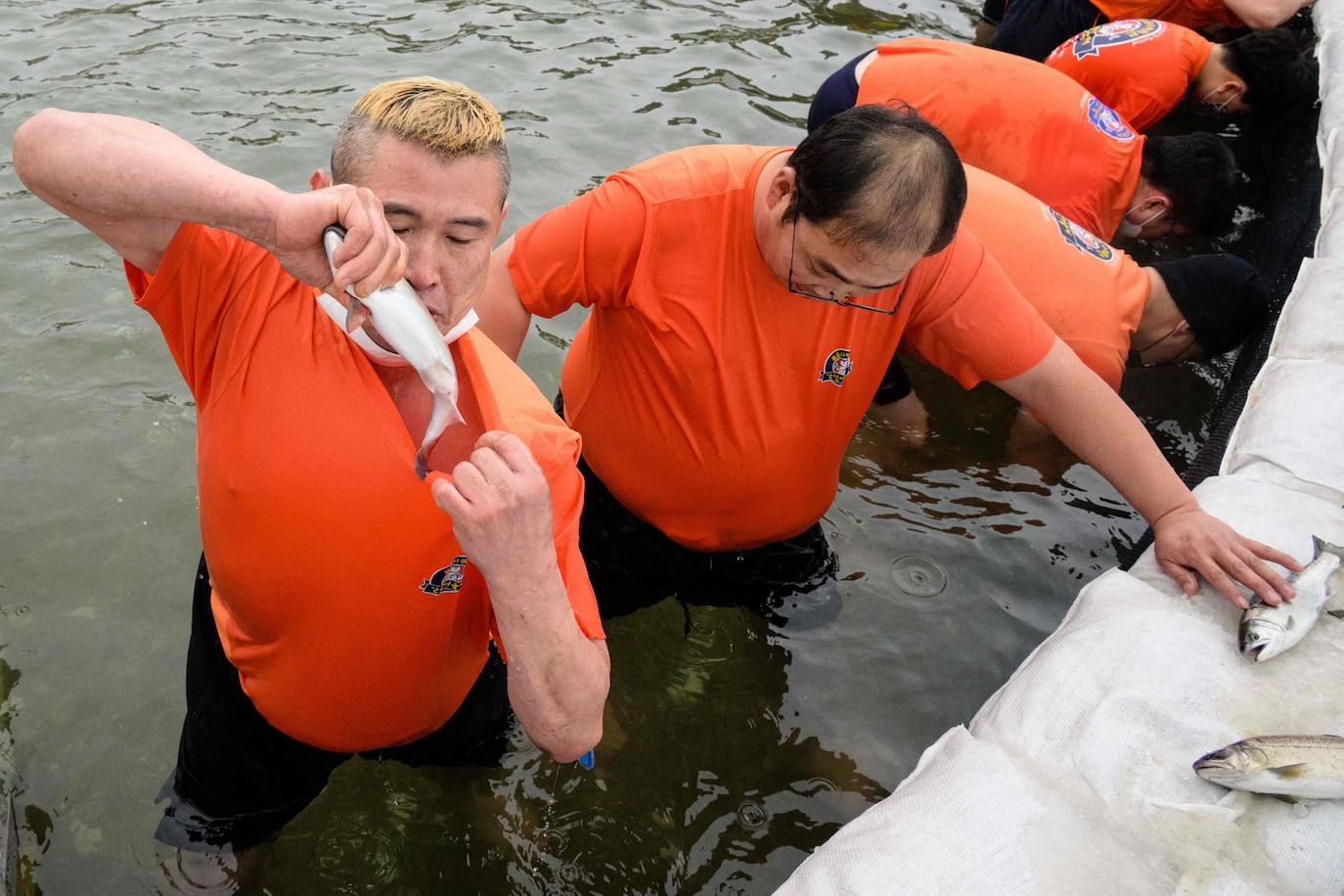 Fotos: Festival de Pesca de Hwacheon