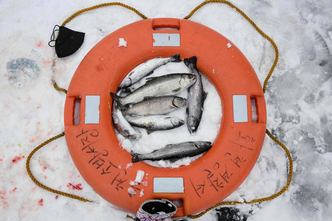 Fotos: Festival de Pesca de Hwacheon