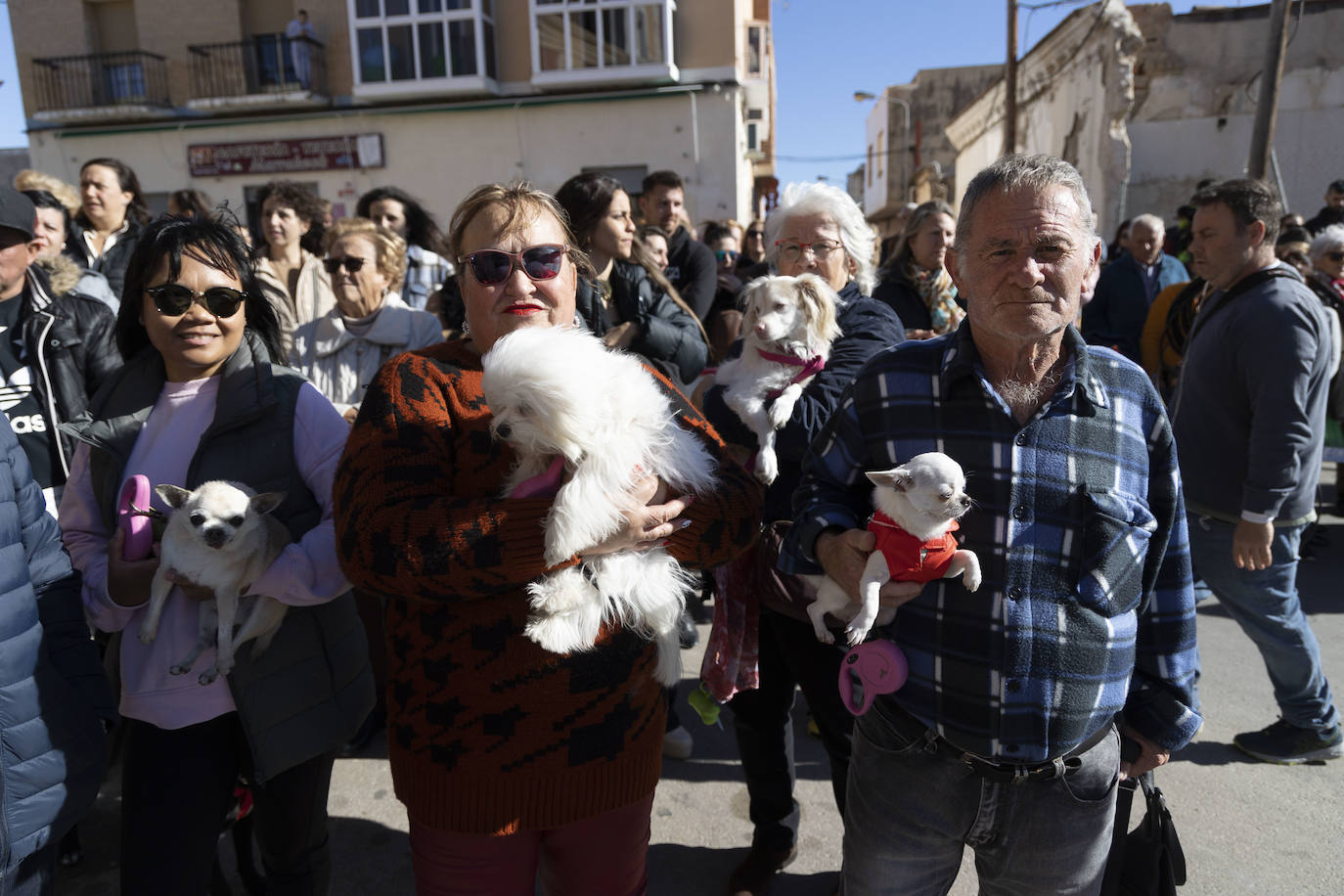 Fotos: Bendición de animales en Cartagena