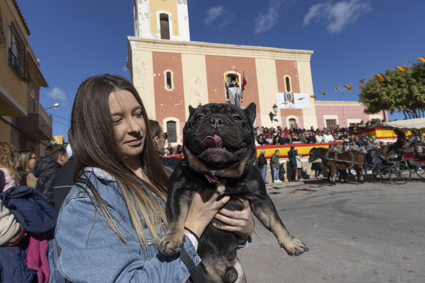 Fotos: Bendición de animales en Cartagena